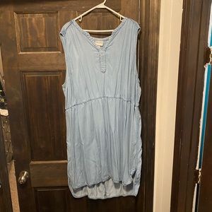 Jean Dress